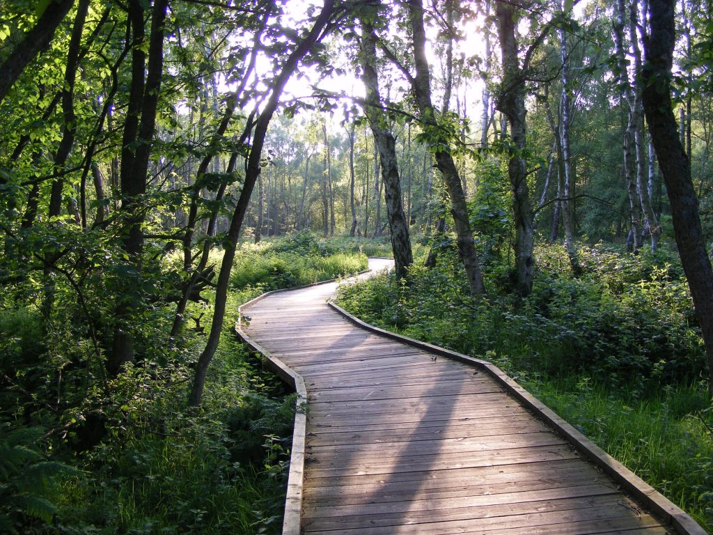 Boardwalk around lake alongside Windy Gap